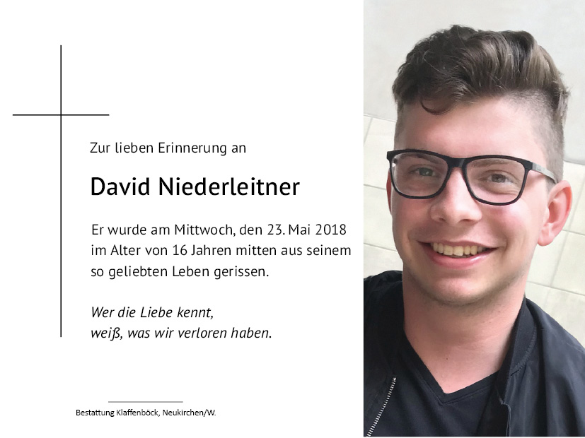 David  Niederleitner